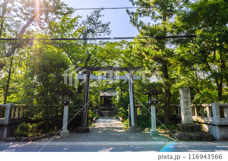 日本の寒川都市景観 宮山神社を望む(相模國一之宮 寒川神社末社)=令和6年7月21日 日本の寒川都市景観 宮山神社を望む(相模國一之宮 寒川神社末社)=令和6年7月21日 116943566