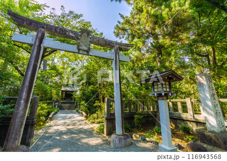 日本の寒川都市景観　宮山神社を望む（相模國一之宮 寒川神社末社）＝令和6年7月21日 116943568