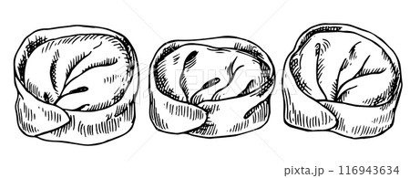 set of asian dumplings, illustration in sketch style. frozen convenience food set of asian dumplings, illustration in sketch style. frozen convenience food 116943634