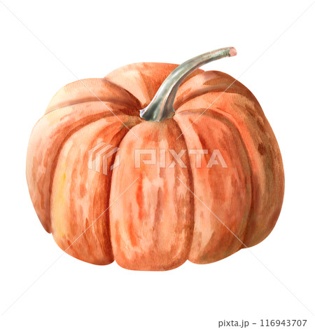Orange pumpkin painted with watercolor. Illustration on the theme of harvest, Halloween for printing on fabric, packaging for bakeries, , fairs. Illustration isolated from the background. Orange pumpkin painted with watercolor. Illustration on the theme of harvest, Halloween for printing on fabric, packaging for bakeries, , fairs. Illustration isolated from the background. 116943707