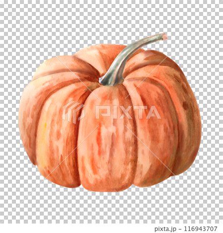 Orange pumpkin painted with watercolor. Illustration on the theme of harvest, Halloween for printing on fabric, packaging for bakeries, , fairs. Illustration isolated from the background. Orange pumpkin painted with watercolor. Illustration on the theme of harvest, Halloween for printing on fabric, packaging for bakeries, , fairs. Illustration isolated from the background. 116943707