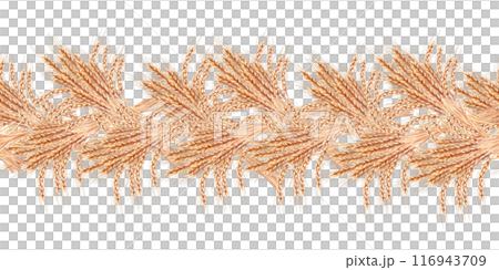 Seamless border of wheat ears in watercolor. Illustration on the theme of harvest for printing on fabric, packaging for bakeries, bread factories. Illustration is isolated from the background. 116943709