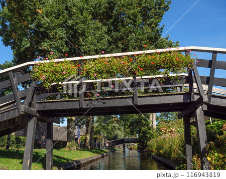 Giethoorn in the netherlands Giethoorn in the netherlands 116943819