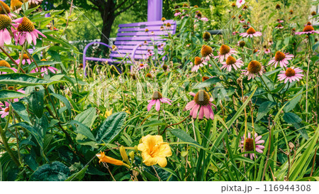 Little garden Little garden 116944308