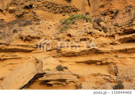Eroded Sandstone Cliffs with Vegetation 116944468