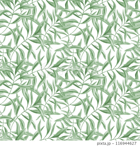 Green leaf branches. Seamless pattern of olive leaves. Oleander twigs. Tropical botanical ornate. Watercolor illustration of summer greenery. Floral design for room decor, textile, scrapbook 116944627