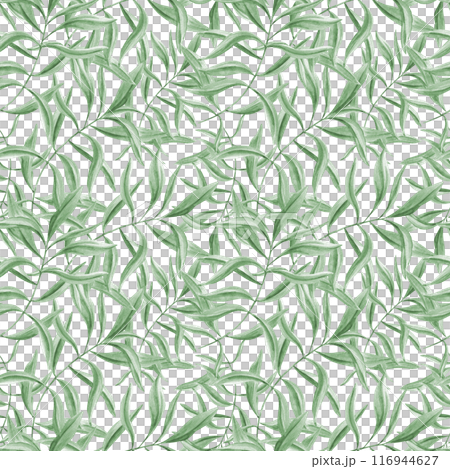 Green leaf branches. Seamless pattern of olive leaves. Oleander twigs. Tropical botanical ornate. Watercolor illustration of summer greenery. Floral design for room decor, textile, scrapbook 116944627