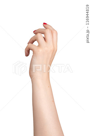 tender, elegant hand with red varnish on the fingernails, positioned in a delicate, outstretched tender, elegant hand with red varnish on the fingernails, positioned in a delicate, outstretched 116944819