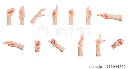 Hand gestures, signs, finger pointer, fist, set isolated on white background. 116944832