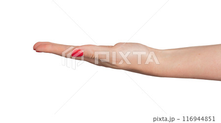 Outstretched hand, palm open and empty, ready to share or receive. Gesture symbolizing support, help 116944851