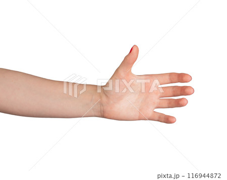 A hand showcasing an elegant gesture of holding an invisible object or bottle, displayed in both A hand showcasing an elegant gesture of holding an invisible object or bottle, displayed in both 116944872