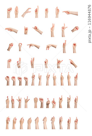 Different hand gestures, finger signs set isolated on white background. Female arms with red polish Different hand gestures, finger signs set isolated on white background. Female arms with red polish 116944876