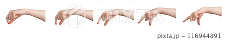 Female hands holding something invisible between two fingers, taking, measuring gesture from big to Female hands holding something invisible between two fingers, taking, measuring gesture from big to 116944891