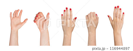 Hands taking, holding, grabbing, grasping gesture set, isolated on white background. 116944897