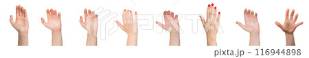 Hands holding, catching, grasping something, gestures set isolated on white background. 116944898