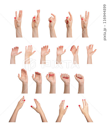 Hands and fingers gestures, signs set. Pointing, holding, grabbing, grasping, catching actions Hands and fingers gestures, signs set. Pointing, holding, grabbing, grasping, catching actions 116944899