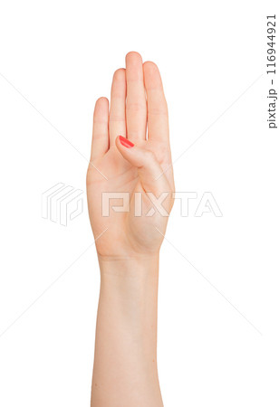 Four fingers up, hand gesture for counting. Showing the number 4, symbol of the fourth digit. 116944921
