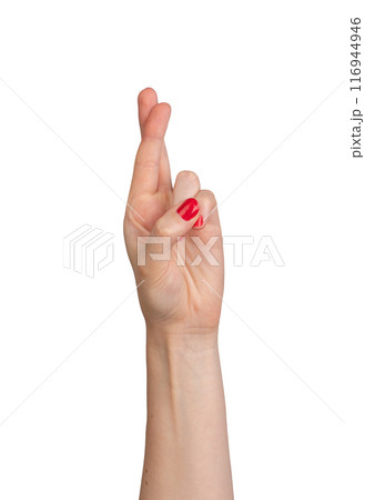 Finger crossed gesture for luck. Isolated hand, superstition sign, white background. Woman gesturing 116944946