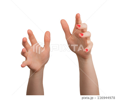 hand reaching forward, with a graceful and deliberate gesture. The hand, isolated on a white 116944978