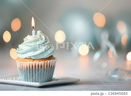 Birthday Cupcake With Candle 116945085