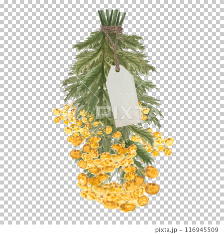 Bunch of tansy wild herb with yellow flowers with a price tag isolated on white. Hand painted in watercolor. High quality art for cards, packages, essential oil production, oil infusions, labels 116945509