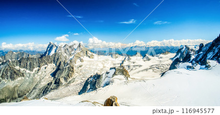 Panoramic view of snowbound Alps Panoramic view of snowbound Alps 116945577