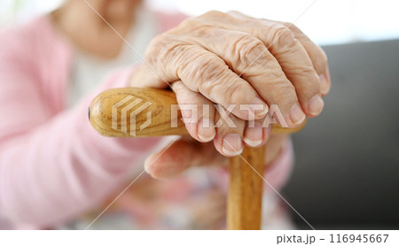 Hands Of Old Woman With Cane Hands Of Old Woman With Cane 116945667