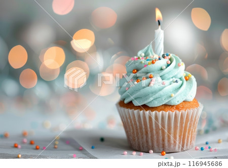 Birthday Cupcake With Candle 116945686
