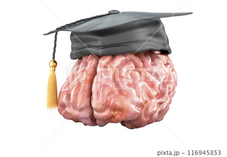 Brain with graduation hat. Education and graduation concept, 3D rendering Brain with graduation hat. Education and graduation concept, 3D rendering 116945853