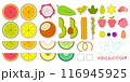 Fruits and berries big set. Vector flat illustration with outline, editable stroke 116945925