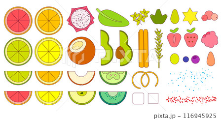 Fruits and berries big set. Vector flat illustration with outline, editable stroke 116945925