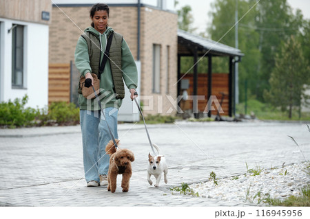 Dog sitter having stroll with two pets Dog sitter having stroll with two pets 116945956