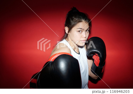 Young professional female boxer Young professional female boxer 116946203
