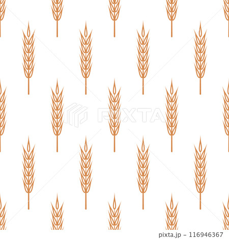 Vector Seamless Pattern with Agriculture Wheat, Cereal Ears. Organic Wheat, Rice Ears. Grain Ear Design Template for Bread, Beer Packaging, Farming, Organic Food Concept 116946367
