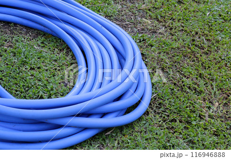 Garden hose for watering plants 116946888