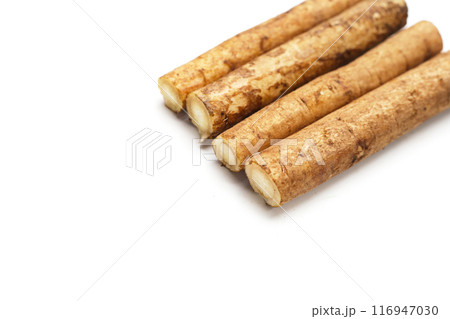 Burdock Root (Gobo) on white background. 116947030