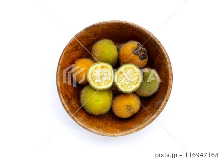 Hairy eggplant, Solanum stramonifolium Jacq 116947168