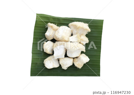 Fresh lion's mane mushroom on white background. (Yamabushitake Mushroom) 116947230