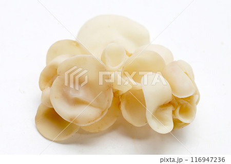 White jelly mushroom or white ear mushroom White jelly mushroom or white ear mushroom 116947236