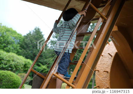 公園で遊ぶ男の子 116947315