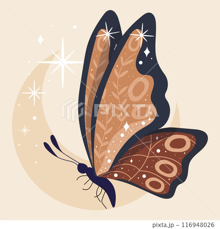 Esoteric butterfly Mystic tattoo Vector 116948026