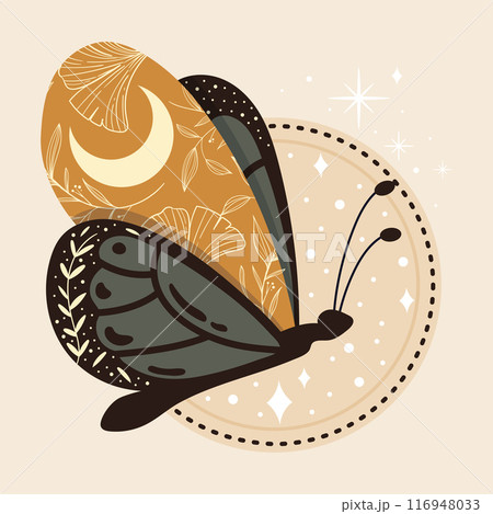 Esoteric butterfly Mystic tattoo Vector 116948033