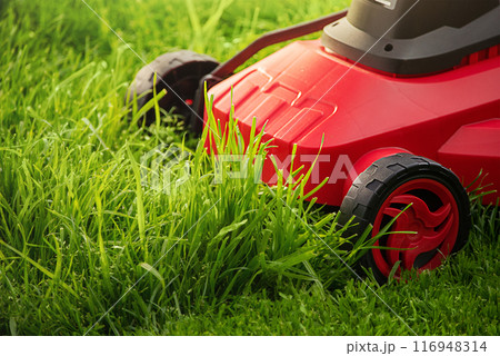 A red and black lawnmower on a background of green grass. 116948314