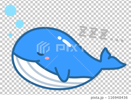 寝る鯨 寝る鯨 116948436
