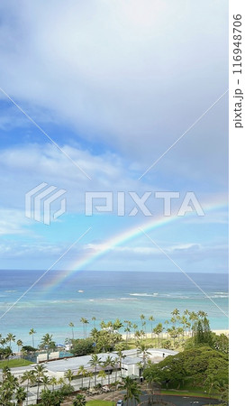 海にかかる虹 海にかかる虹 116948706