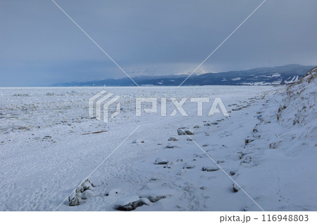 斜里・流氷の海岸 116948803