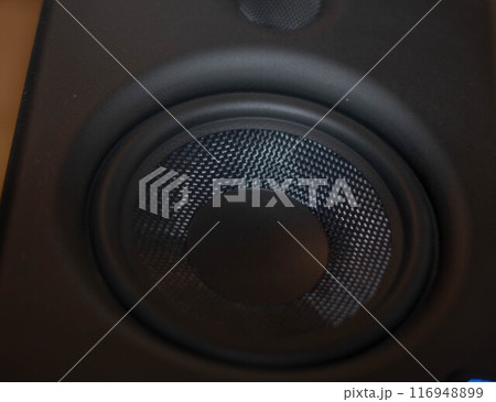 Speaker cone in black 116948899