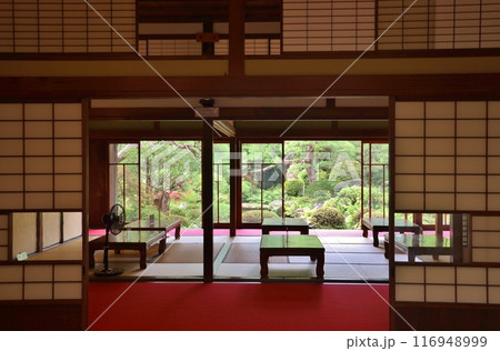 葛飾区山本亭からの庭園の眺め 116948999