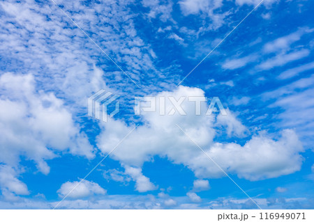 Sky and cloud nature environment landscape background ,Good weather day background Nature sky background 116949071