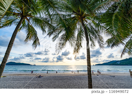 Summer background of Coconut Palm trees on white sandy beach Landscape nature view Romantic ocean bay with blue water and clear blue sky over sea at Phuket island Thailand. 116949072